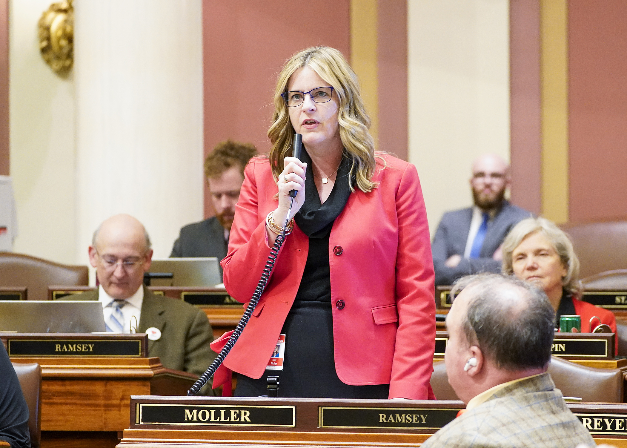 Rep. Kelly Moller presents the conference committee report on the judiciary and public safety finance bill on the House floor May 15. (Photo by Andrew VonBank)